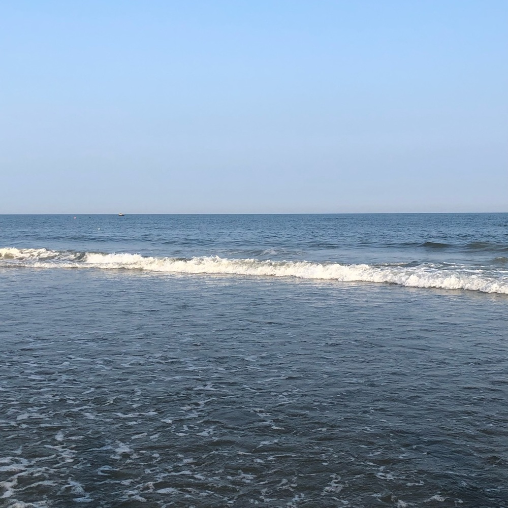 Meet your Posher, Jaye